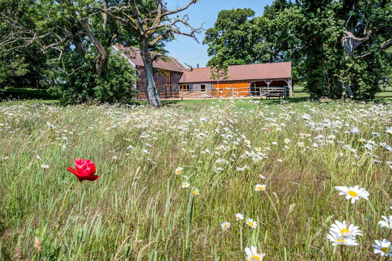 South Park Farm Barn Bed and Breakfast Andover Exteriör bild